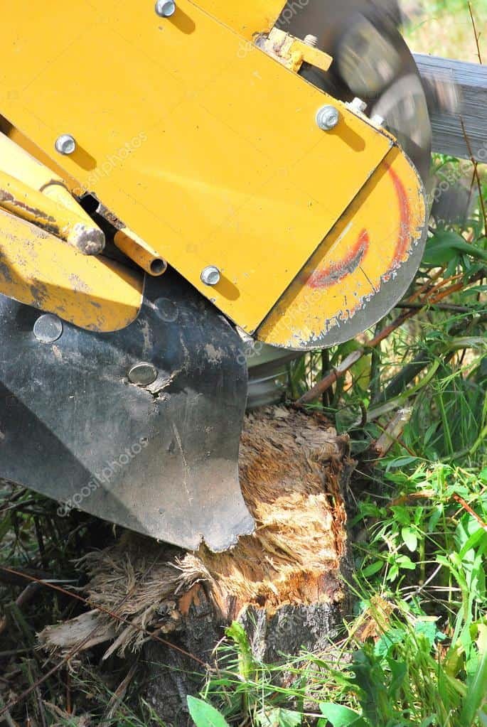 Stump Removal