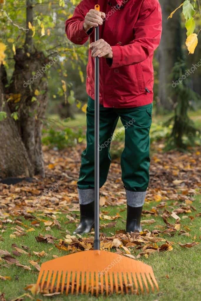 Garden Clearance - Huntingdon & Kettering - Local Gardeners